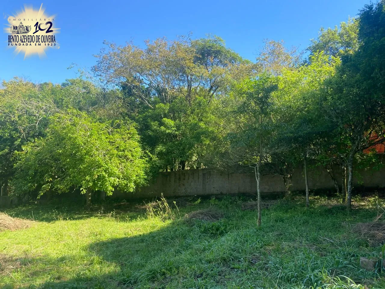 Terreno, 9750 m² - Foto 9