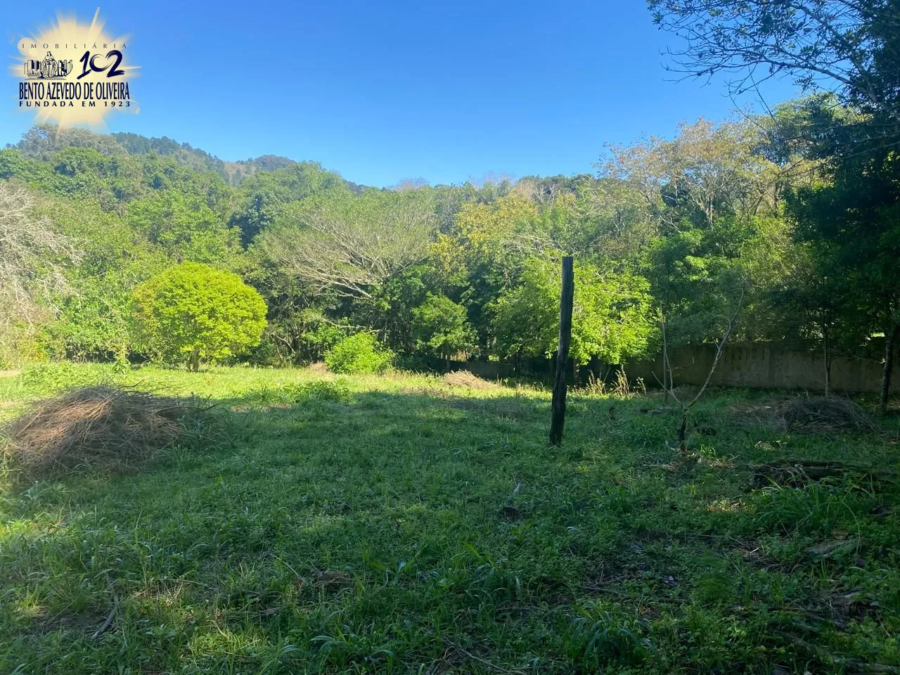 Terreno, 9750 m² - Foto 6