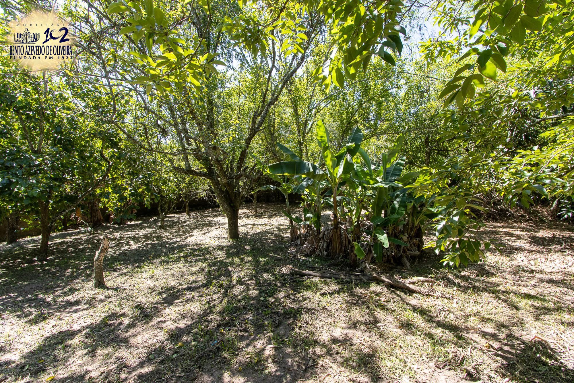 Casa, 2 quartos, 1250 m² - Foto 34