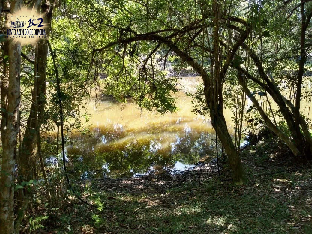 Chácara, 4 quartos, 8 hectares - Foto 4