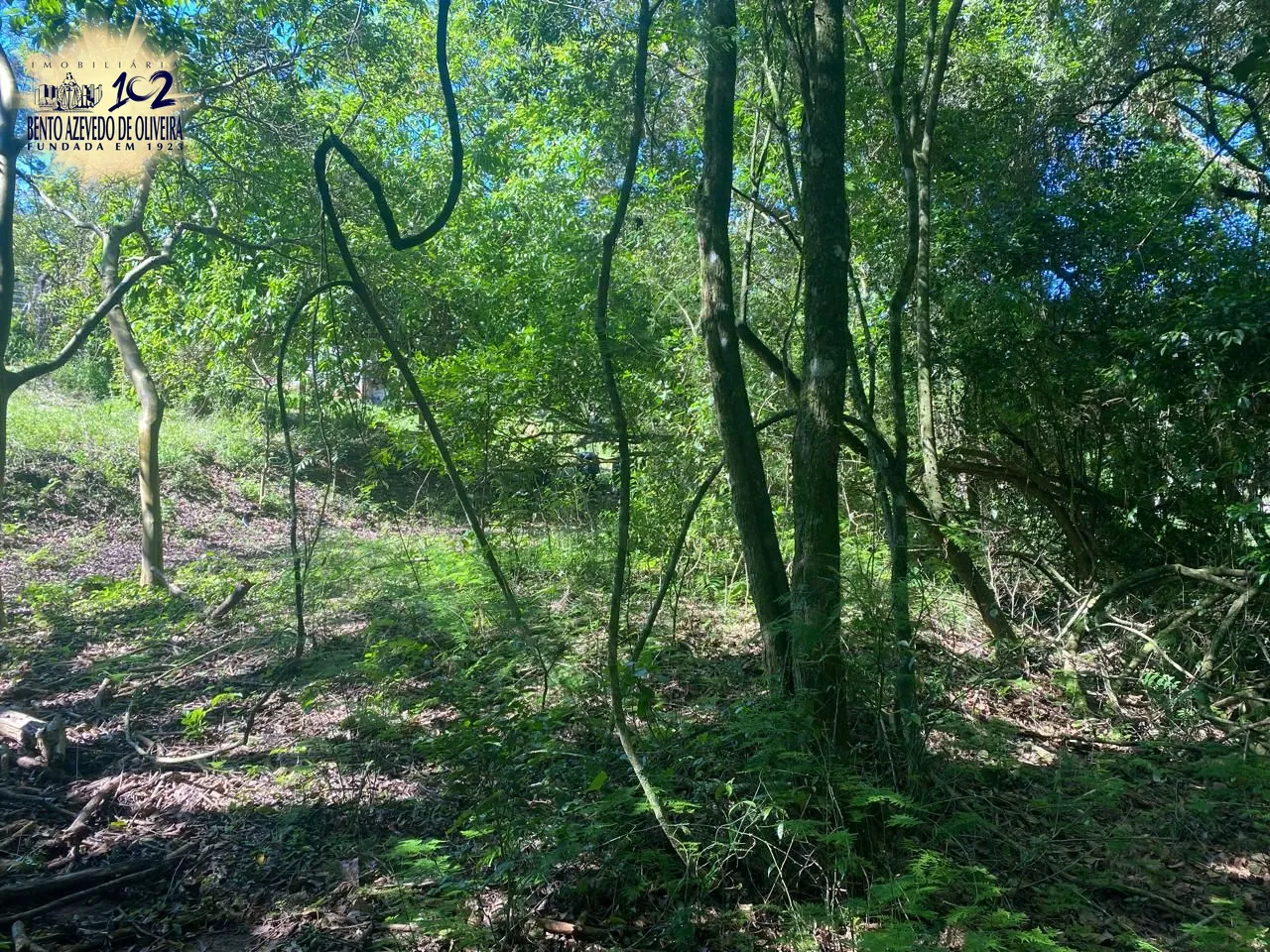 Terreno, 9750 m² - Foto 18