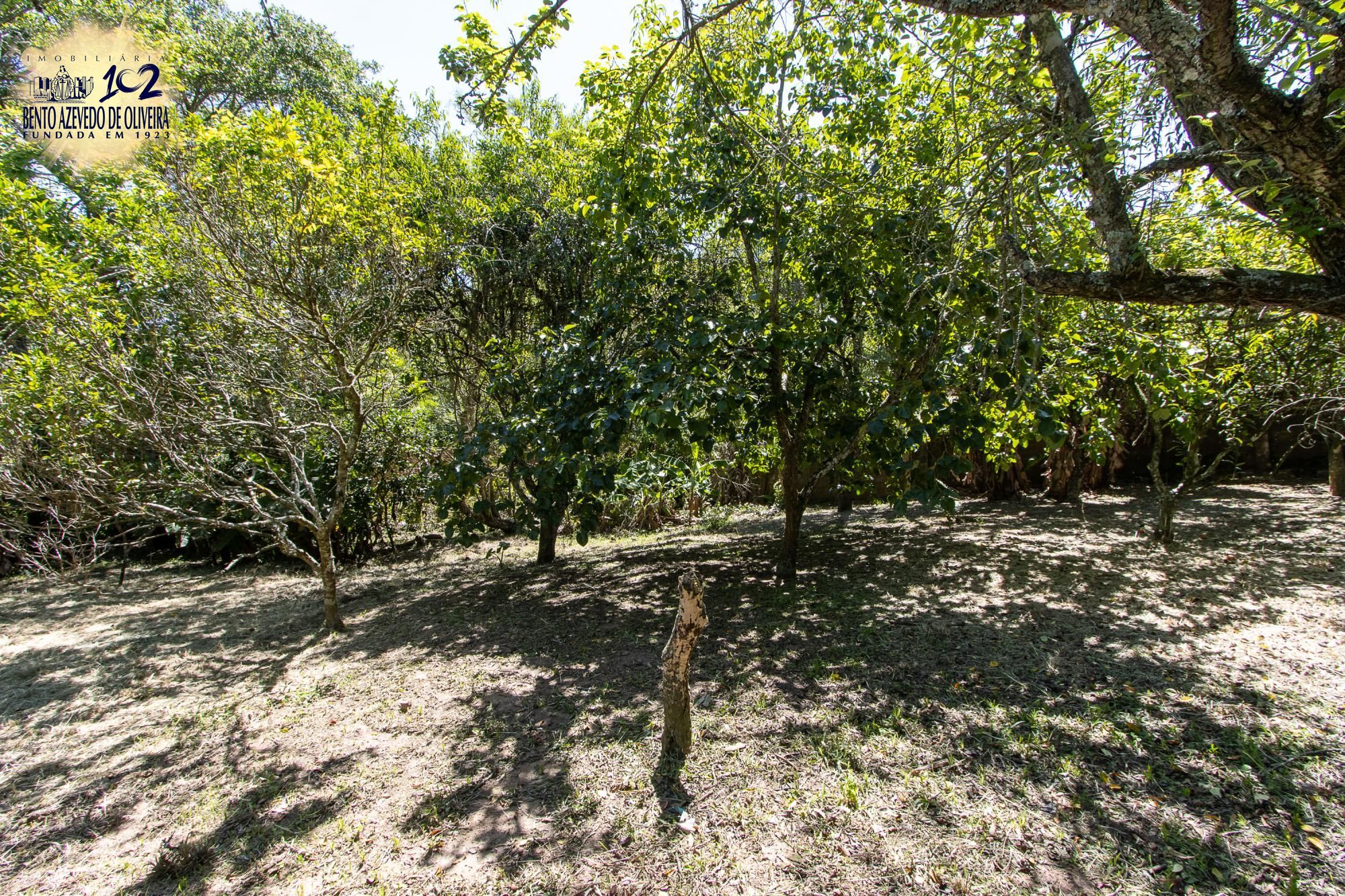 Casa, 2 quartos, 1250 m² - Foto 35