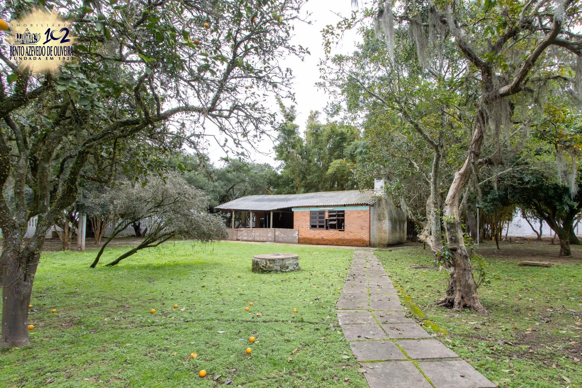 Terreno, 2 hectares - Foto 101