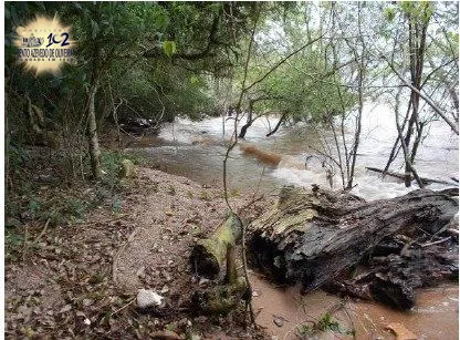 Terreno, 6 hectares - Foto 7