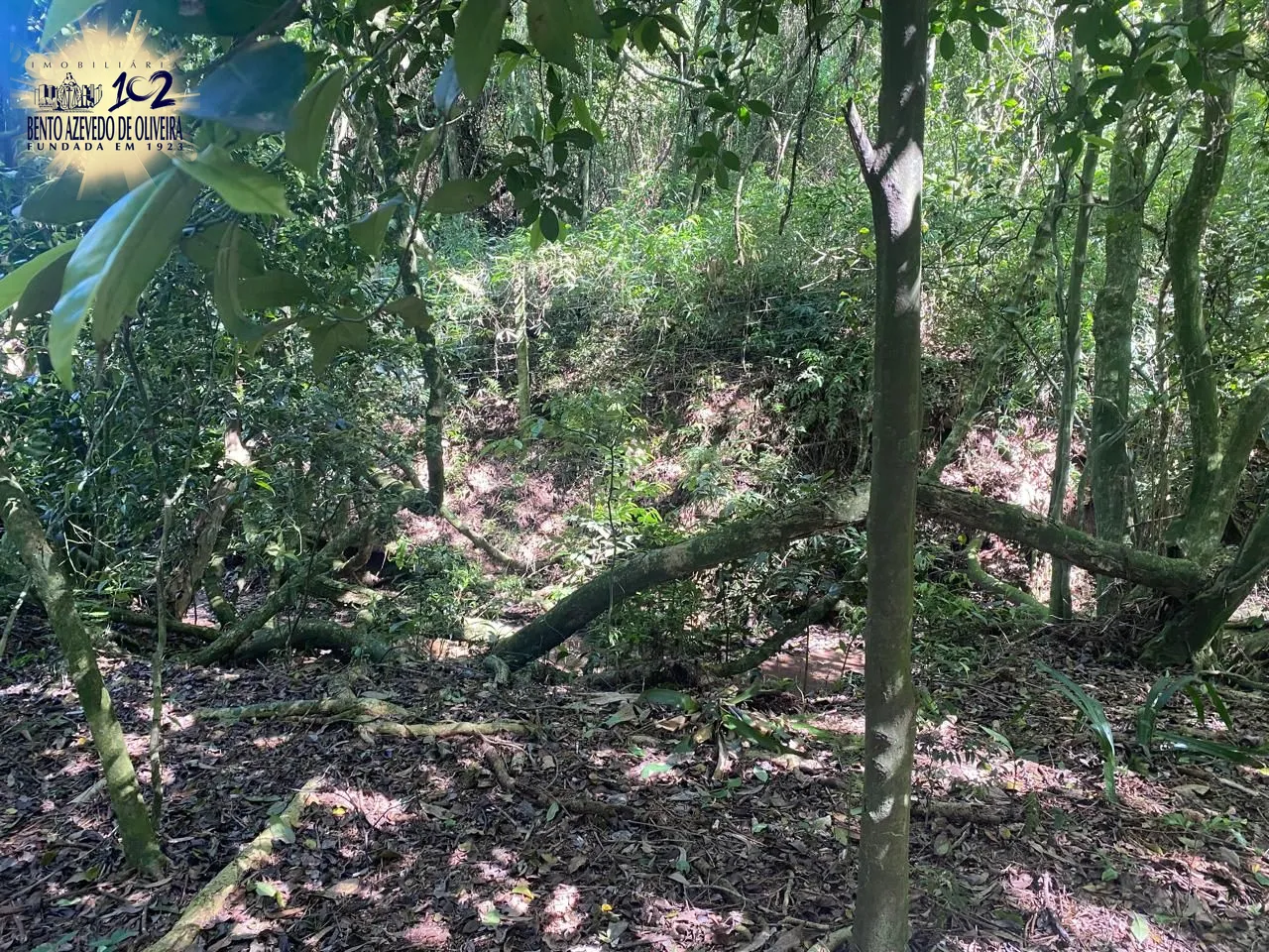 Terreno, 9750 m² - Foto 20