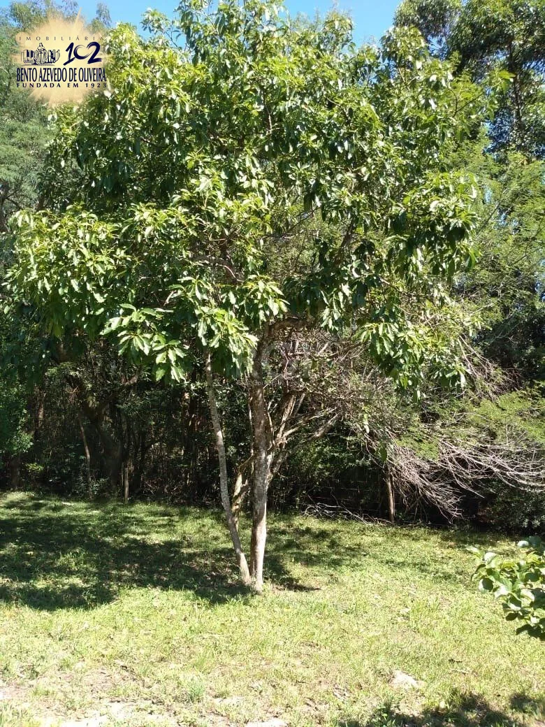 Chácara, 4 quartos, 8 hectares - Foto 40