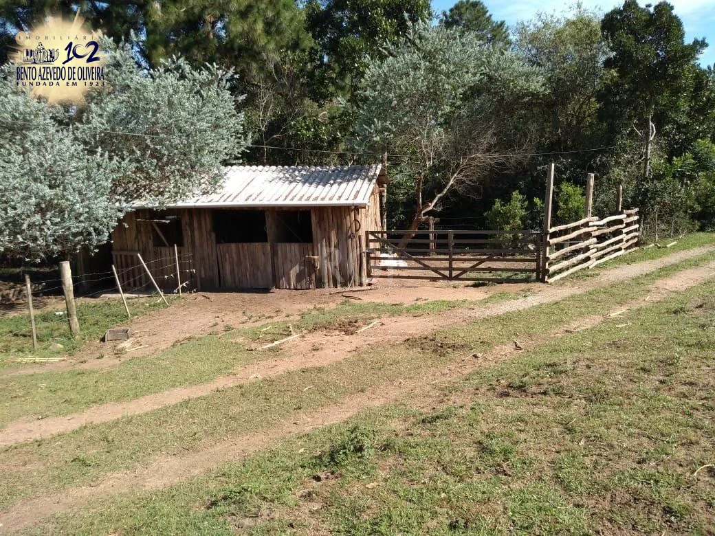 Chácara, 4 quartos, 8 hectares - Foto 37