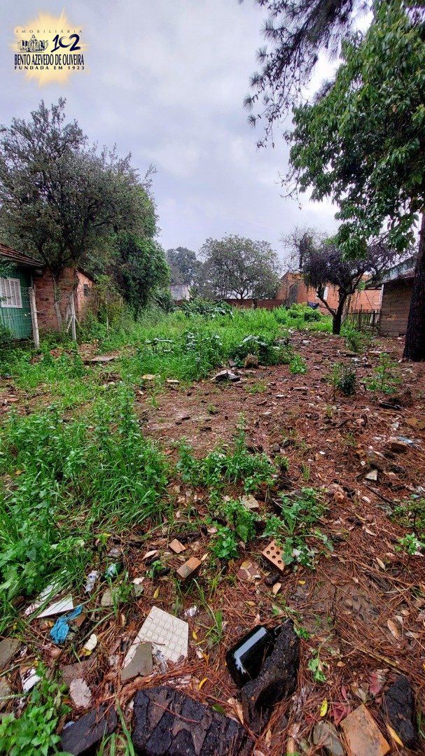 Terreno, 429 m² - Foto 4