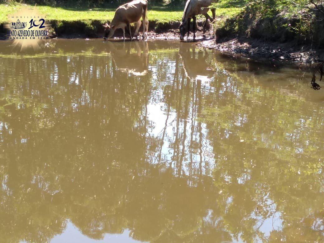 Chácara, 4 quartos, 8 hectares - Foto 20