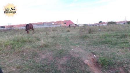 Terreno, 150 m² - Foto 5