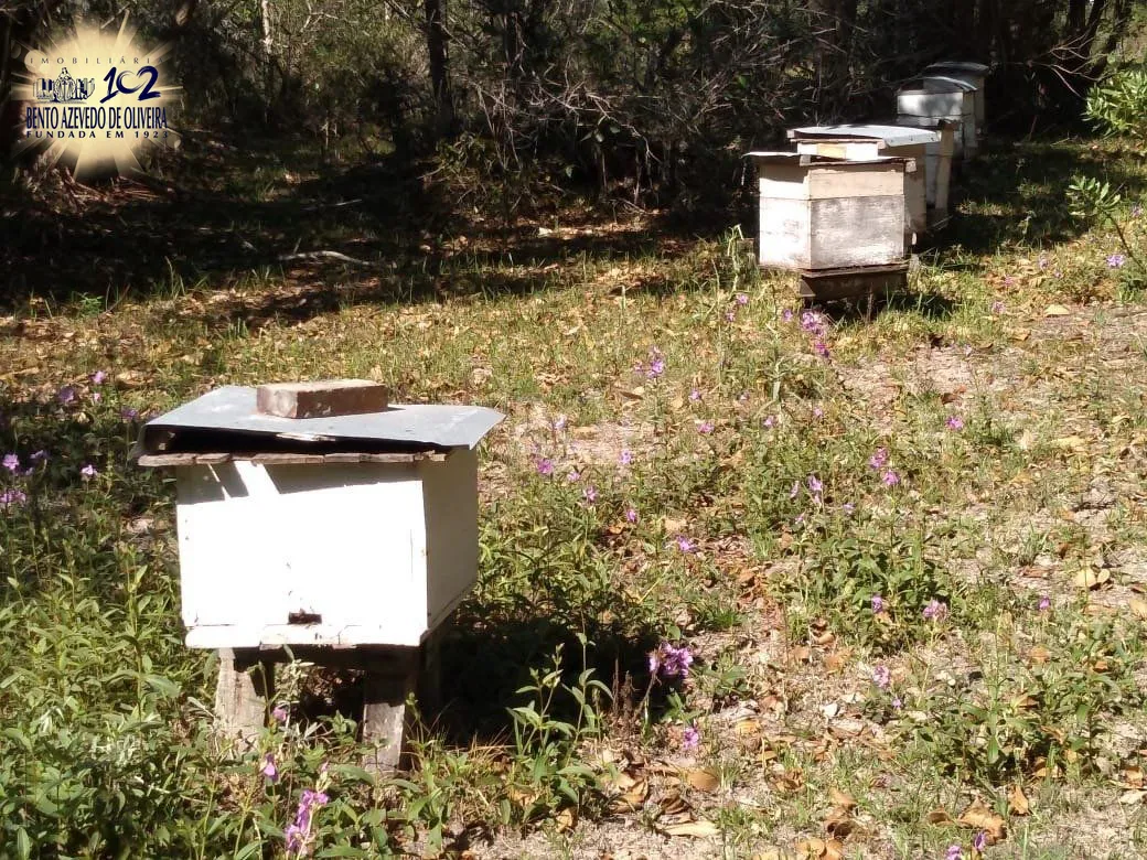 Chácara, 4 quartos, 8 hectares - Foto 25