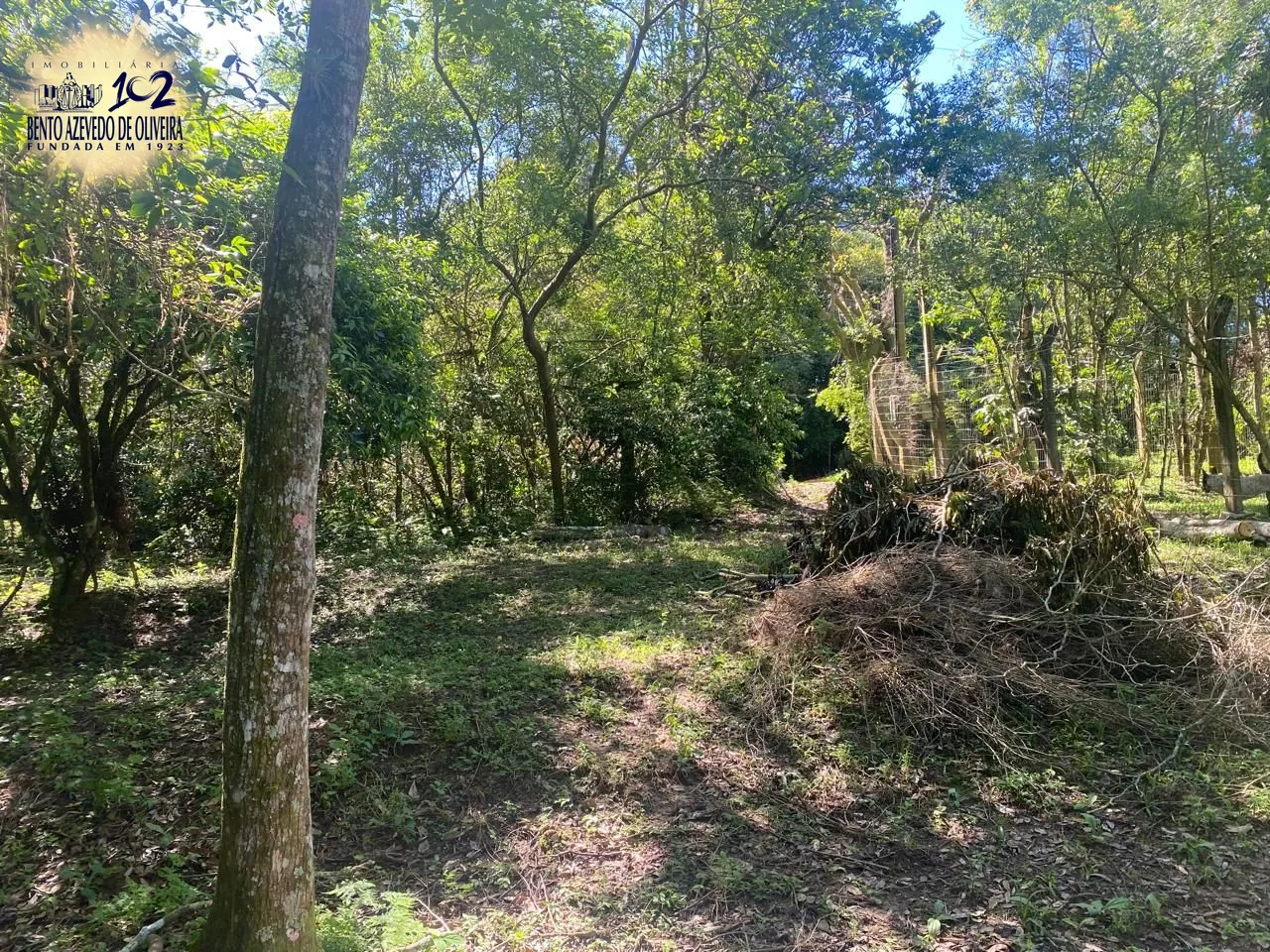 Terreno, 9750 m² - Foto 2