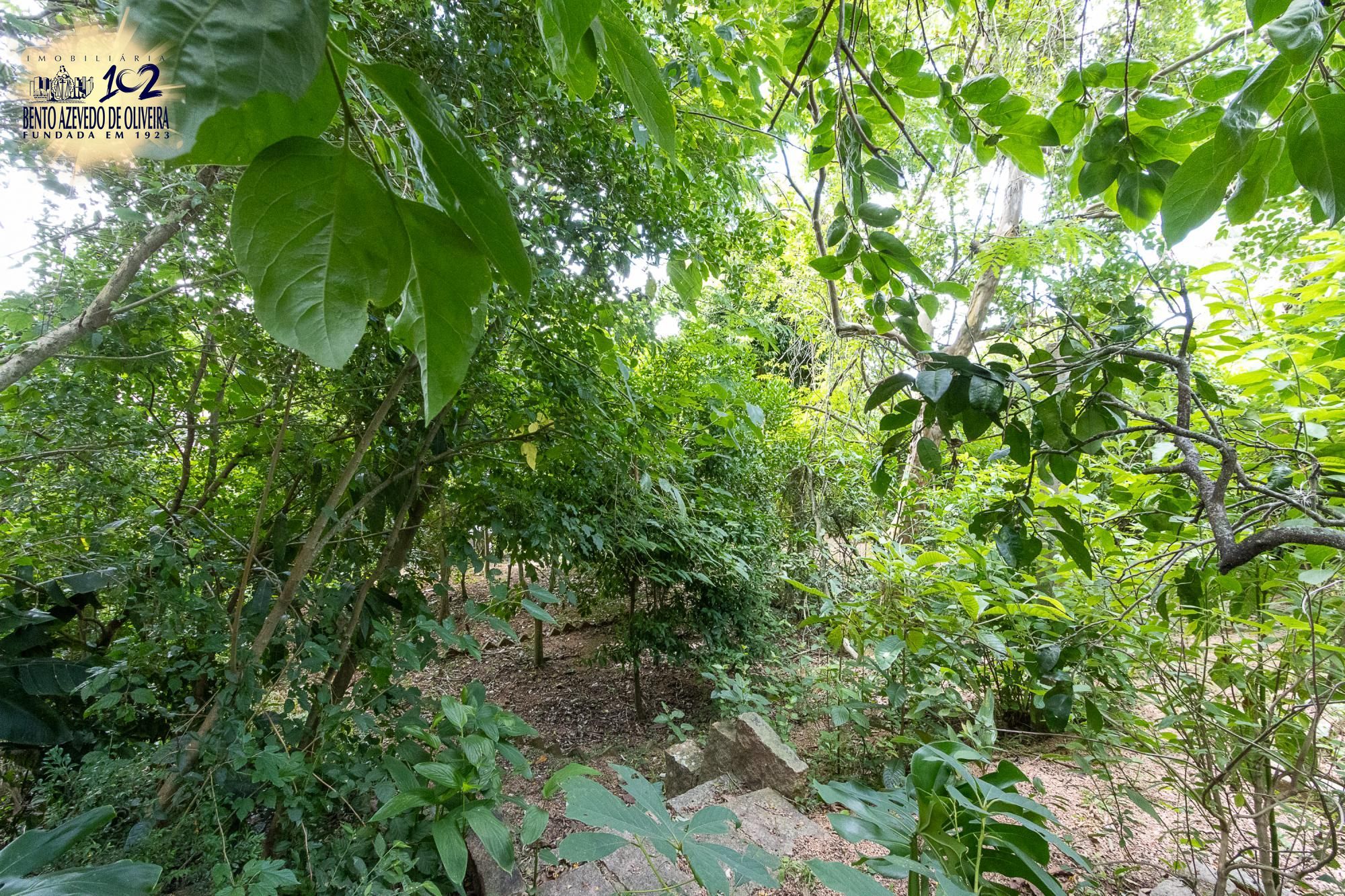 Casa, 3 quartos, 185 m² - Foto 42