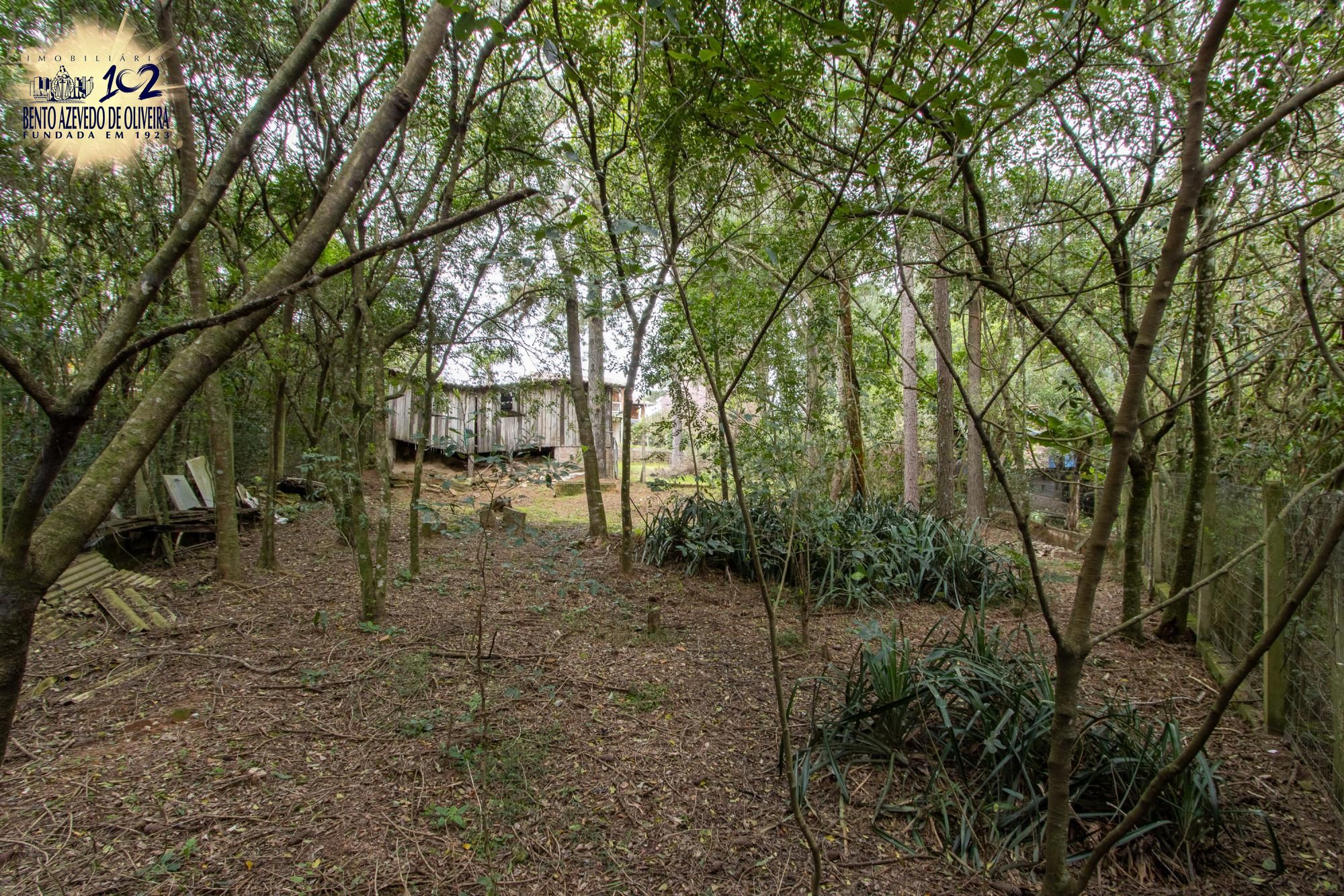 Casa, 3 quartos, 308 m² - Foto 52