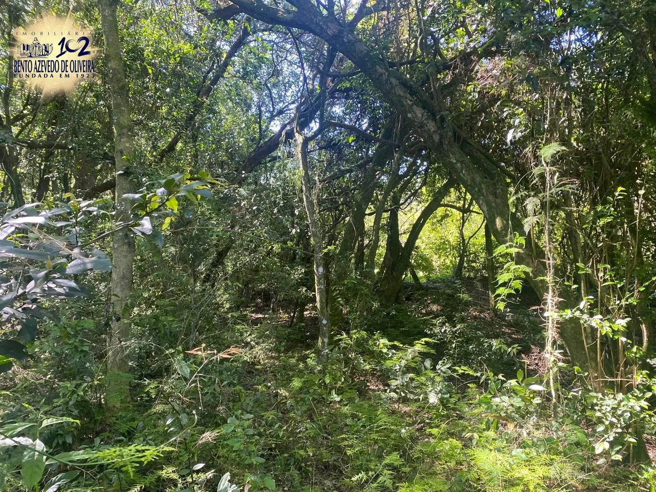 Terreno, 9750 m² - Foto 25