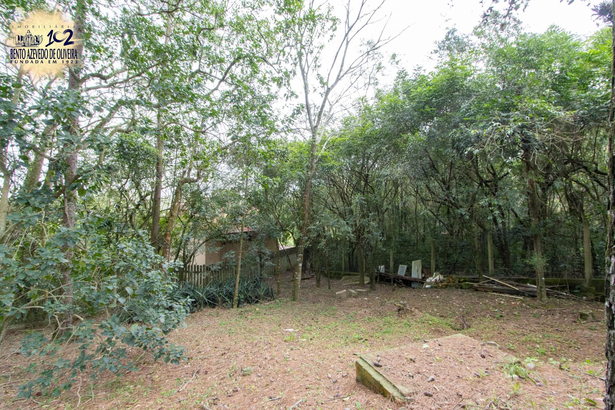 Casa, 3 quartos, 308 m² - Foto 51