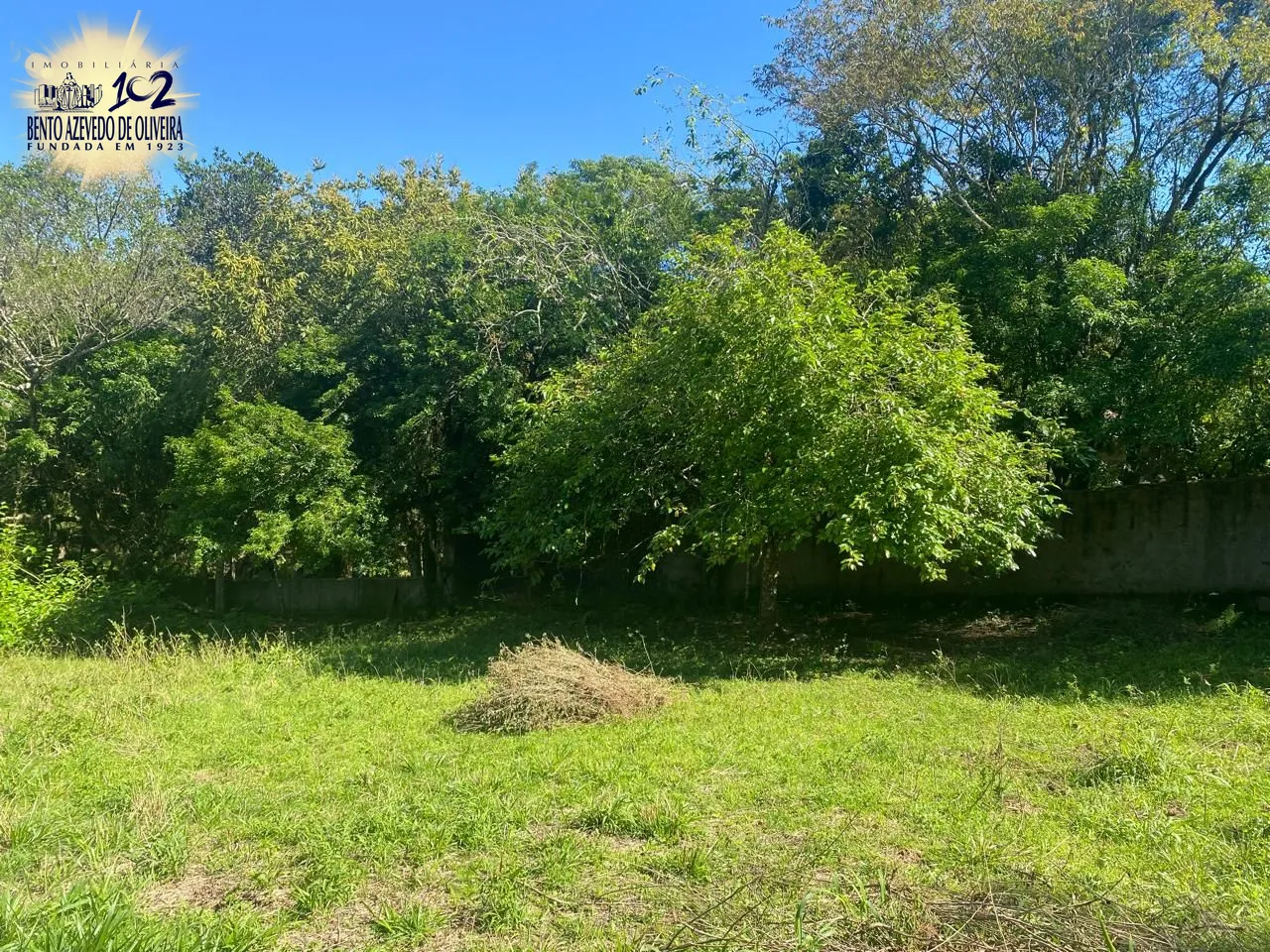 Terreno, 9750 m² - Foto 10