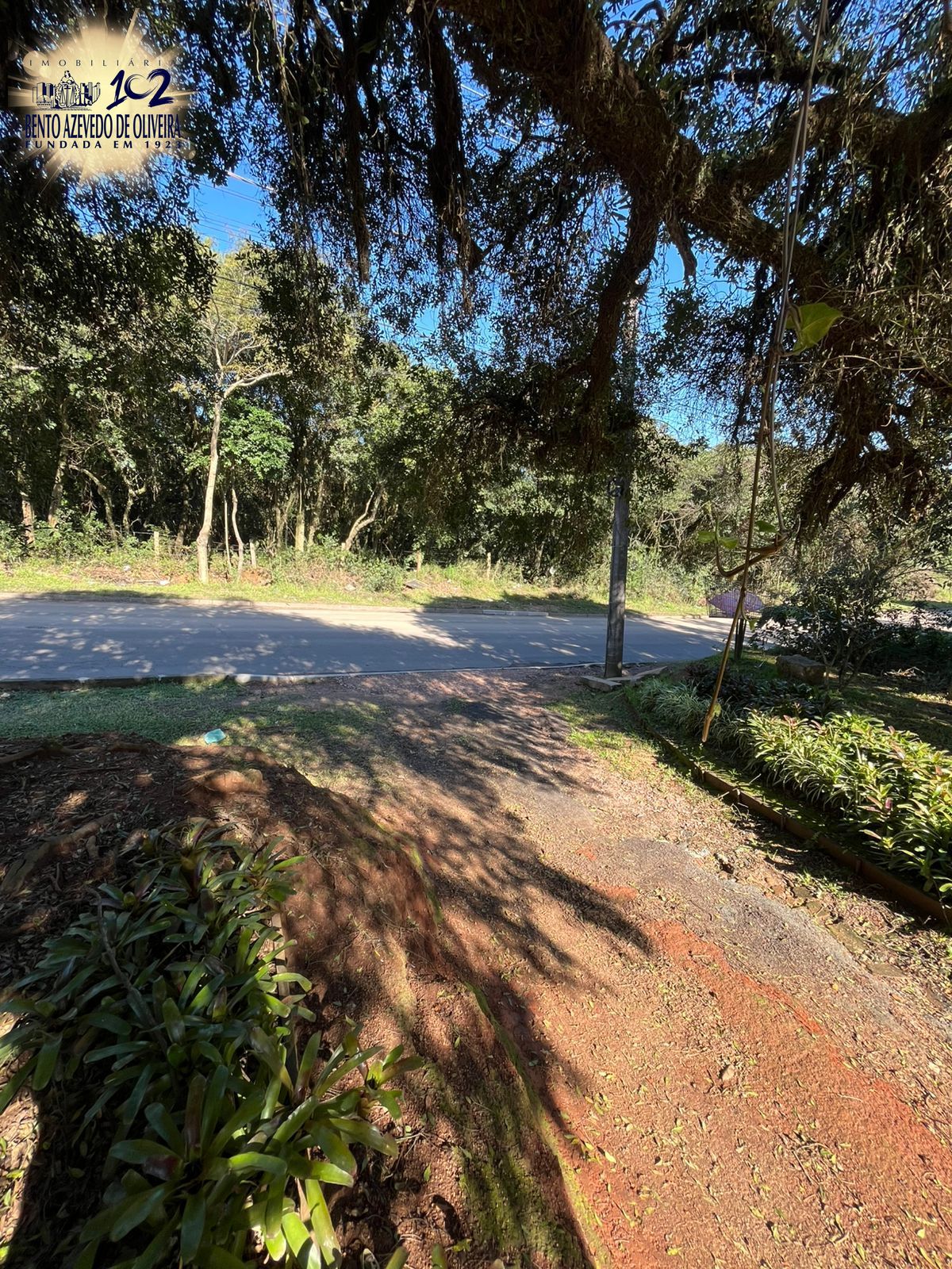 Terreno, 2641 m² - Foto 9