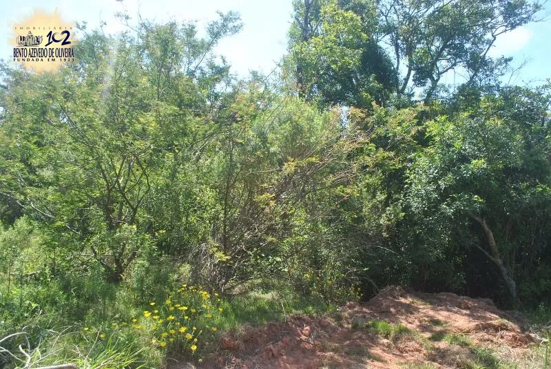 Terreno, 930 m² - Foto 4