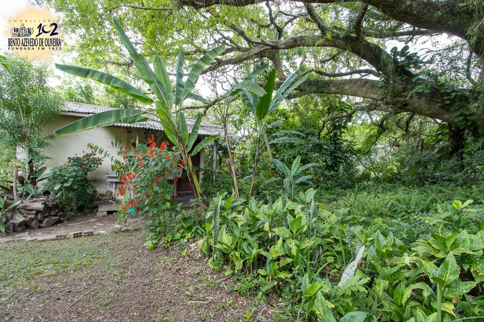 Casa, 3 quartos, 202 m² - Foto 44