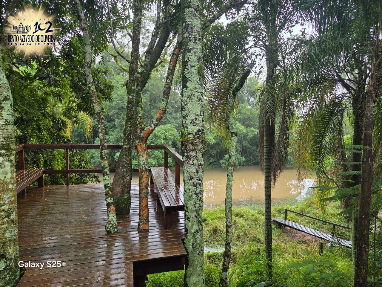 Chácara, 3 quartos, 6000 m² - Foto 9