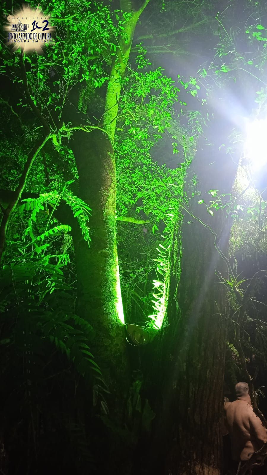 Sítio, 2 quartos, 5 hectares - Foto 11