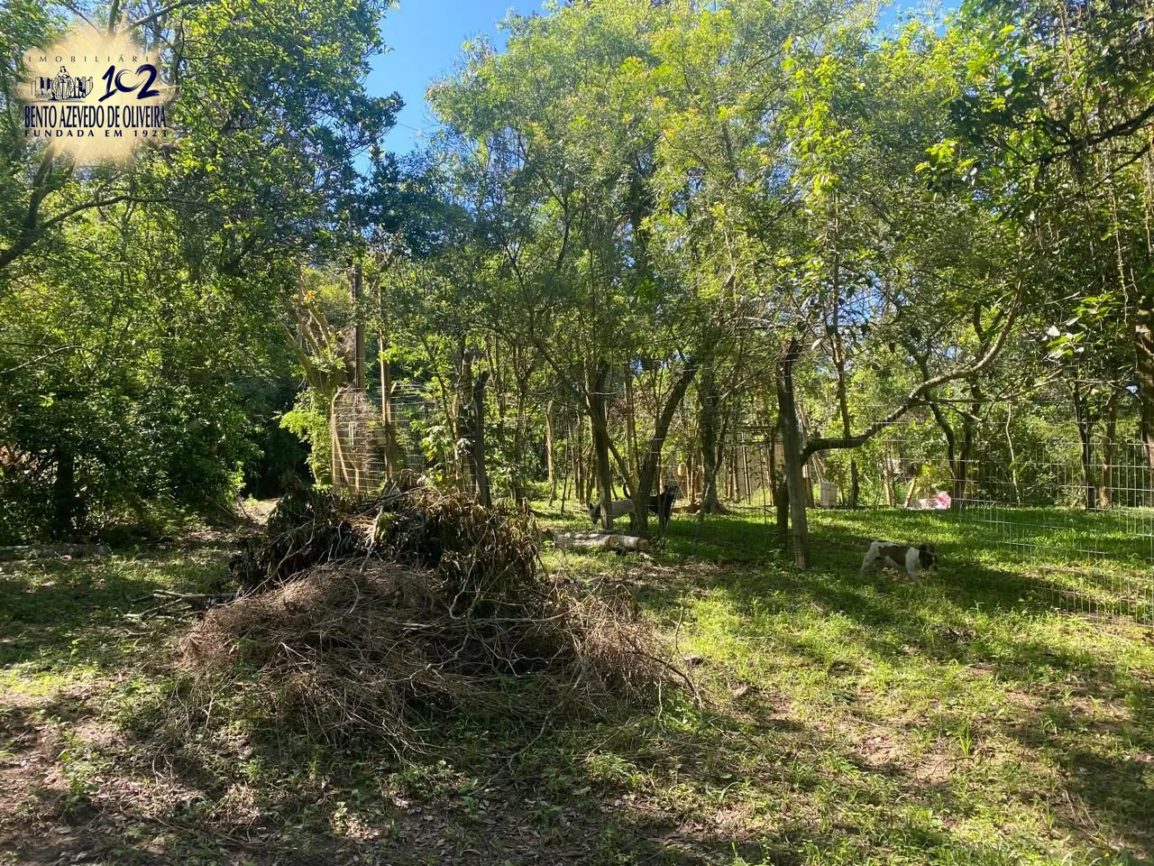 Terreno, 9750 m² - Foto 3