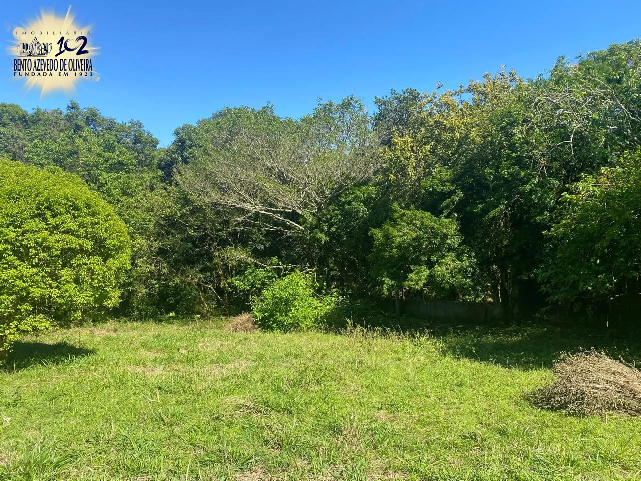 Terreno, 9750 m² - Foto 11