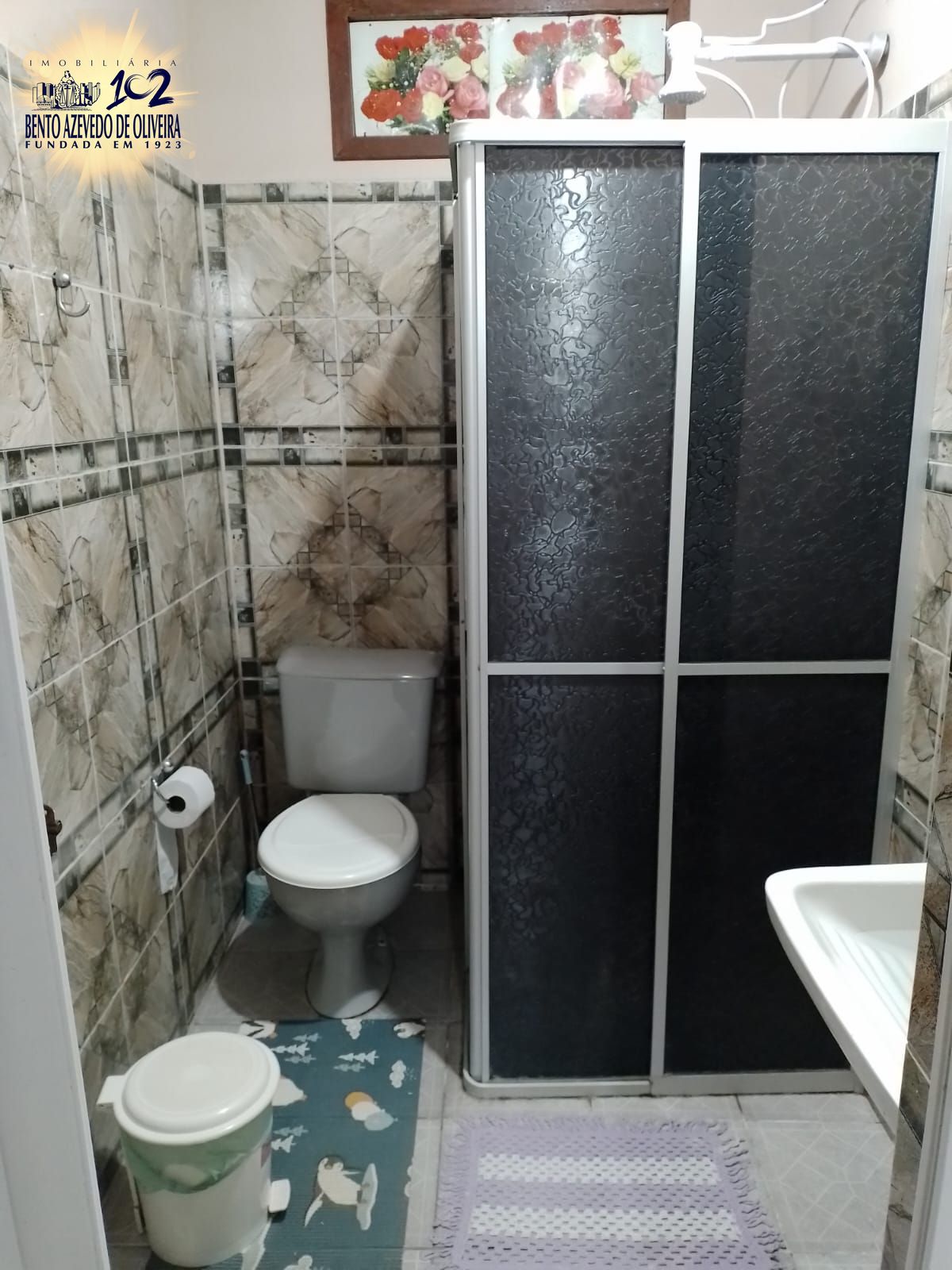 Casa, 4 quartos, 250 m² - Foto 33