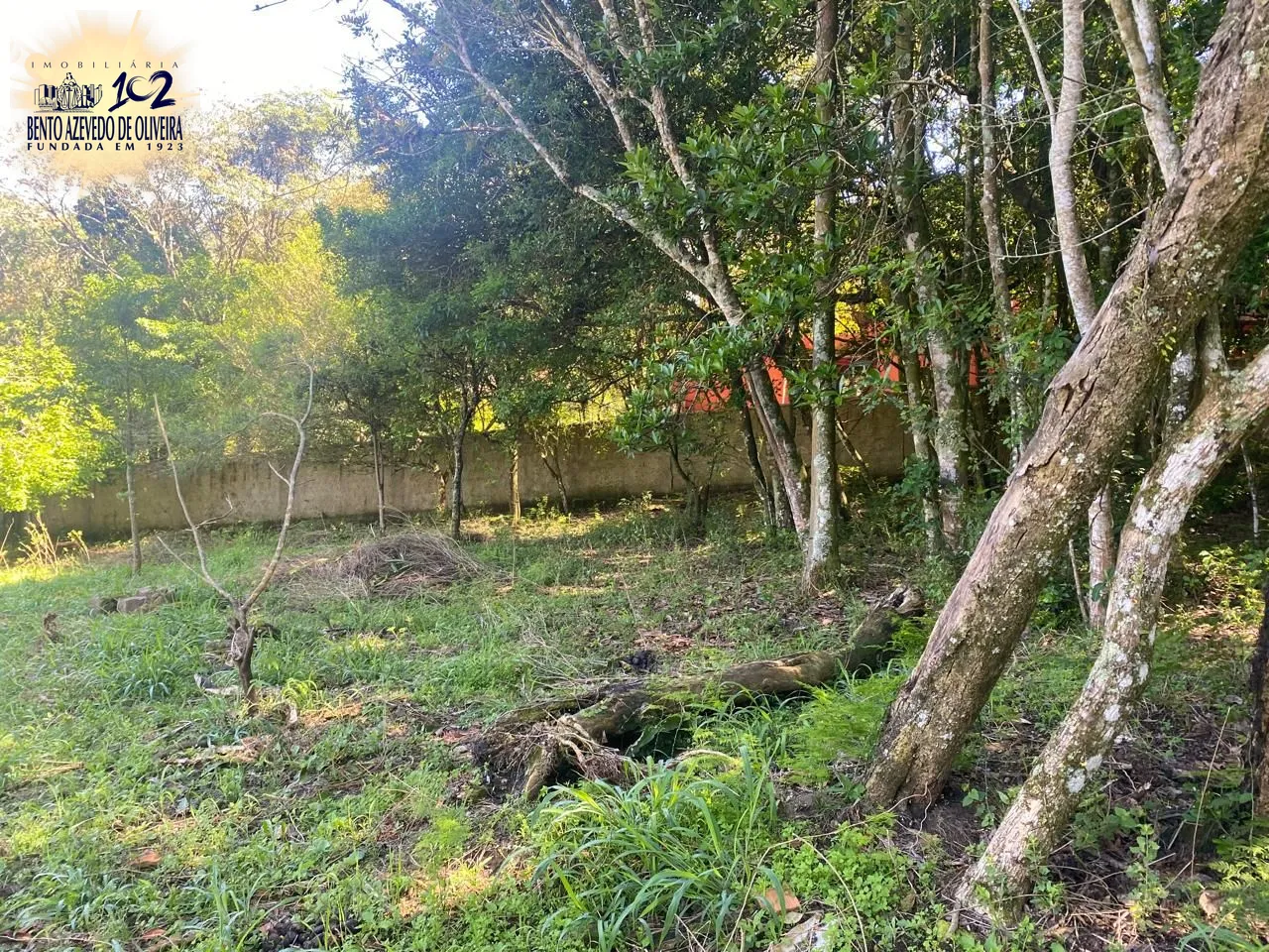 Terreno, 9750 m² - Foto 7