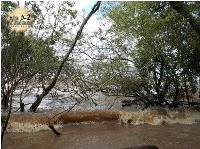 Terreno, 6 hectares - Foto 8