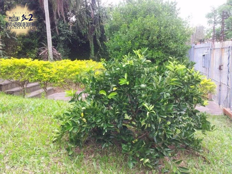 Casa, 3 quartos, 400 m² - Foto 60