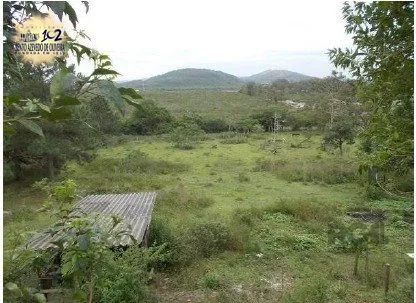 Terreno, 6 hectares - Foto 6