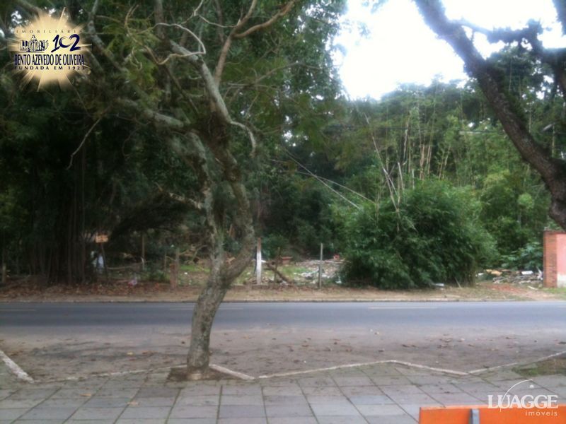 Terreno, 1452 m² - Foto 3