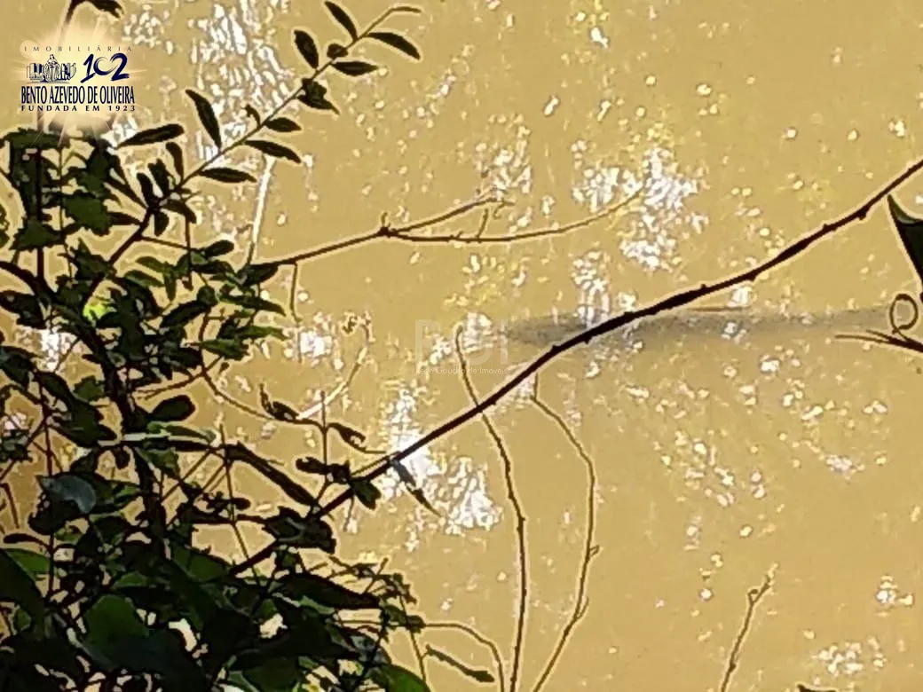 Chácara, 4 quartos, 8 hectares - Foto 32