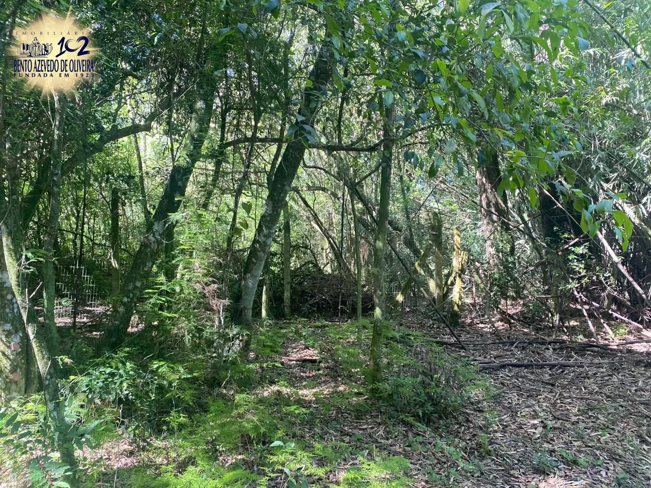 Terreno, 9750 m² - Foto 23
