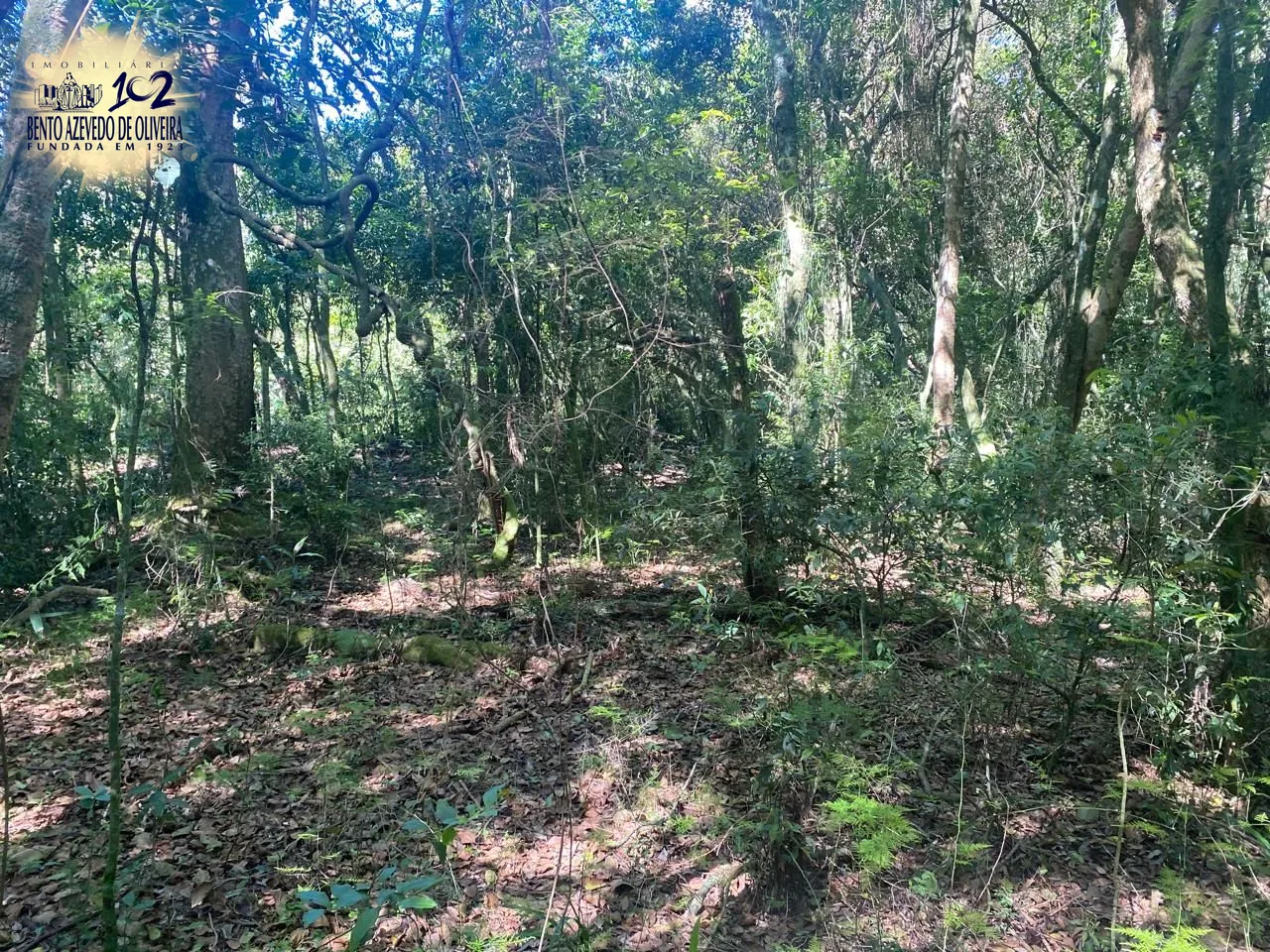 Terreno, 9750 m² - Foto 19