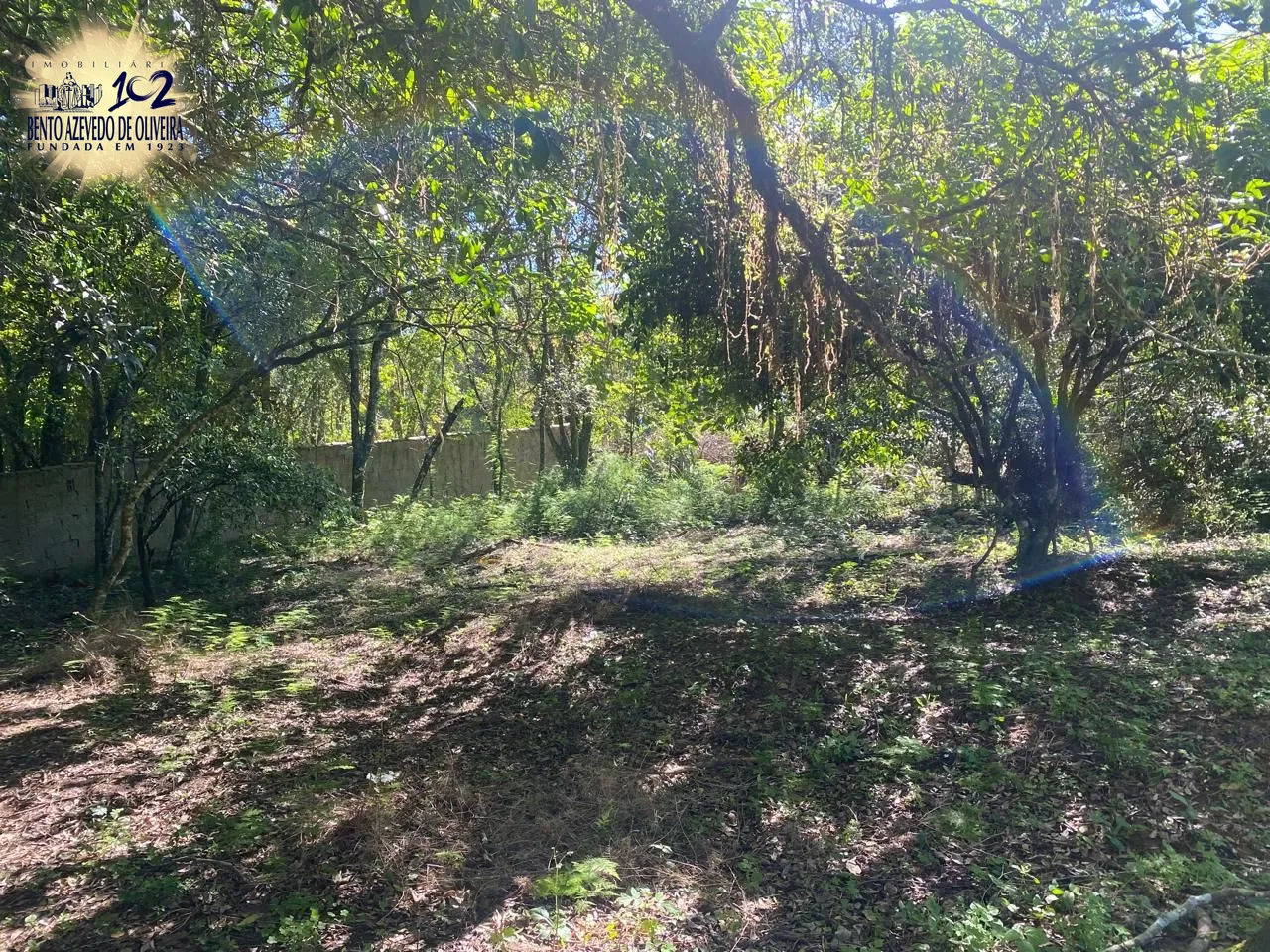 Terreno, 9750 m² - Foto 1