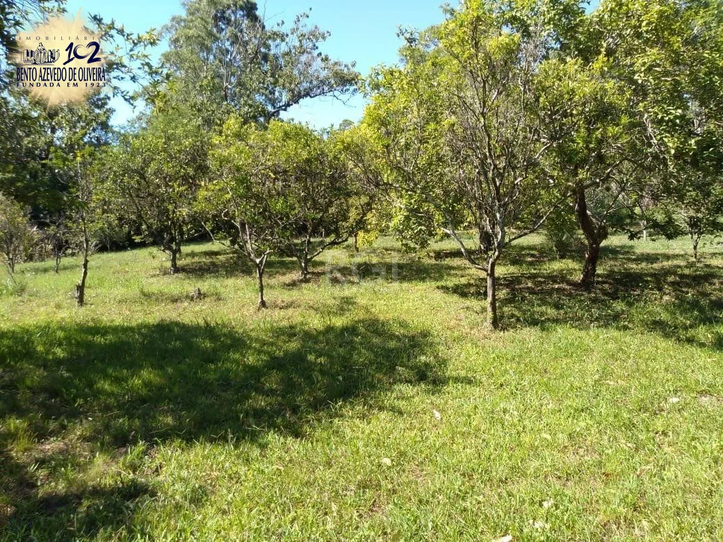 Chácara, 4 quartos, 8 hectares - Foto 6