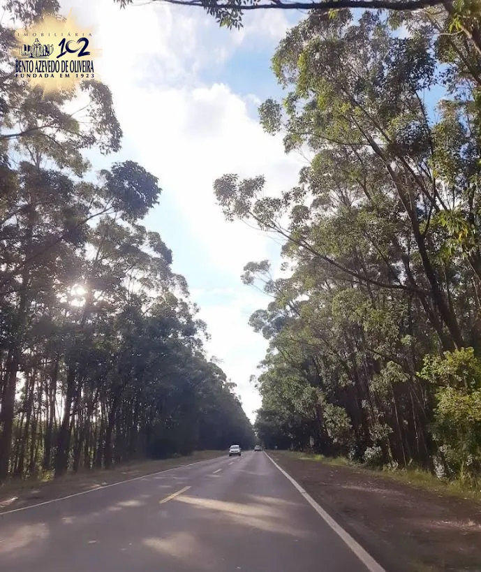 Sítio, 2 quartos, 1 hectares - Foto 2