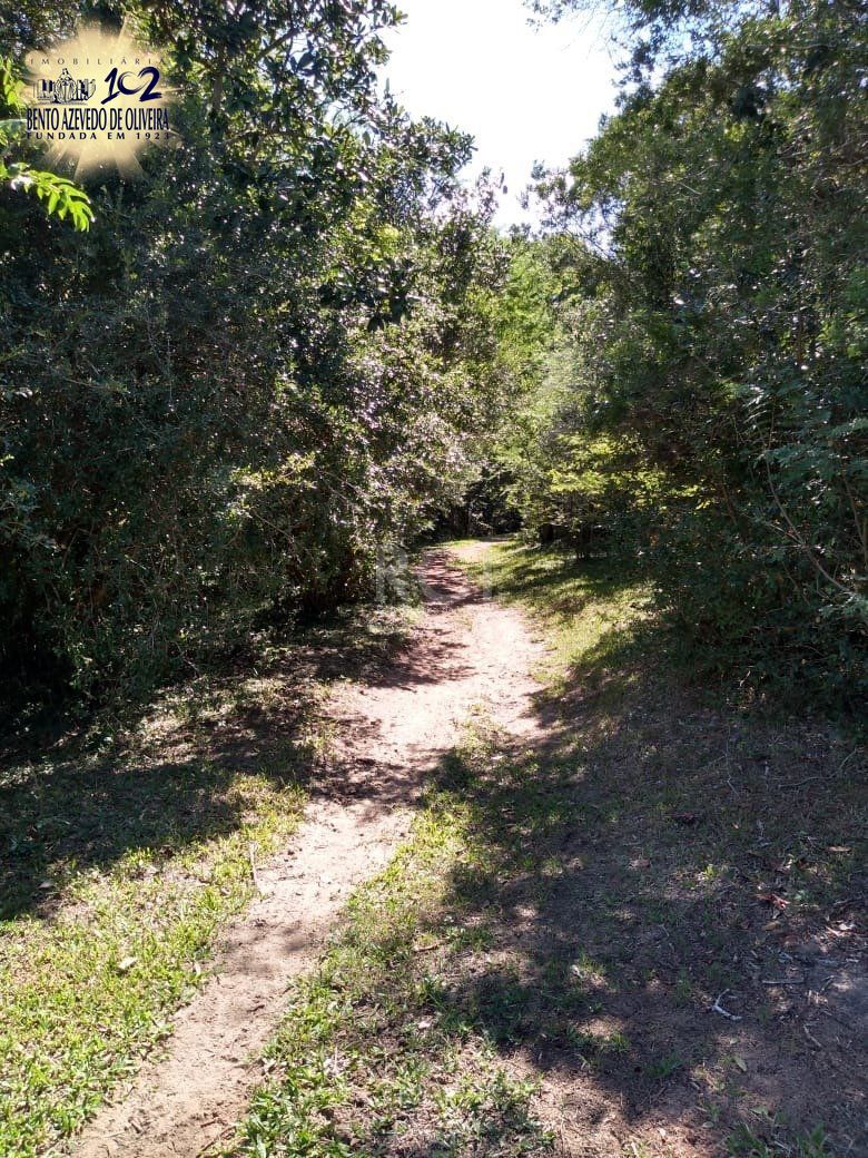 Chácara, 4 quartos, 8 hectares - Foto 42