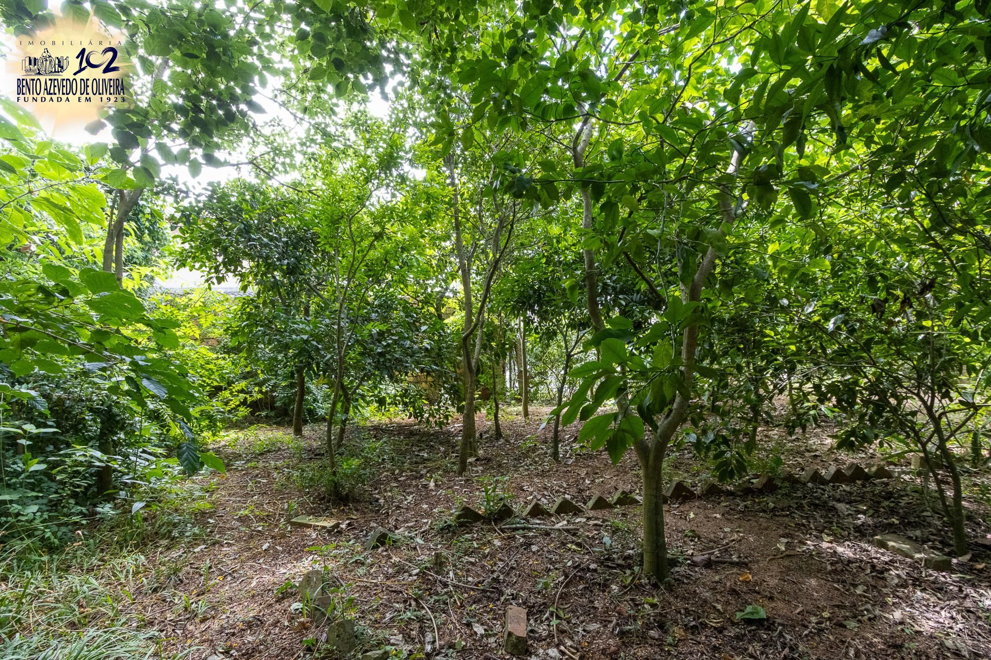 Casa, 3 quartos, 185 m² - Foto 43