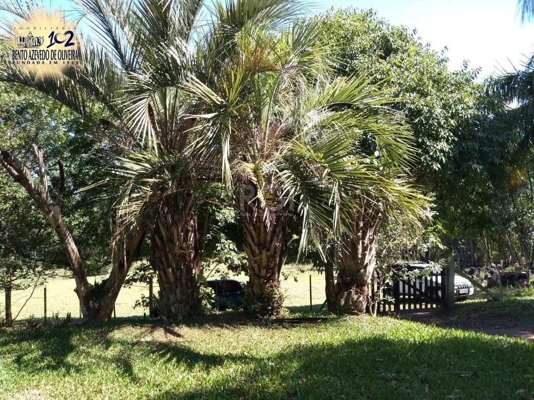 Chácara, 4 quartos, 8 hectares - Foto 10