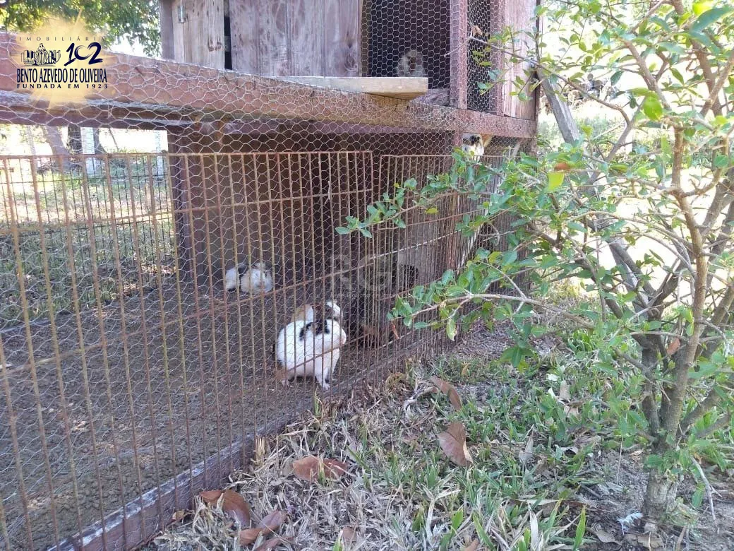 Chácara, 4 quartos, 8 hectares - Foto 34