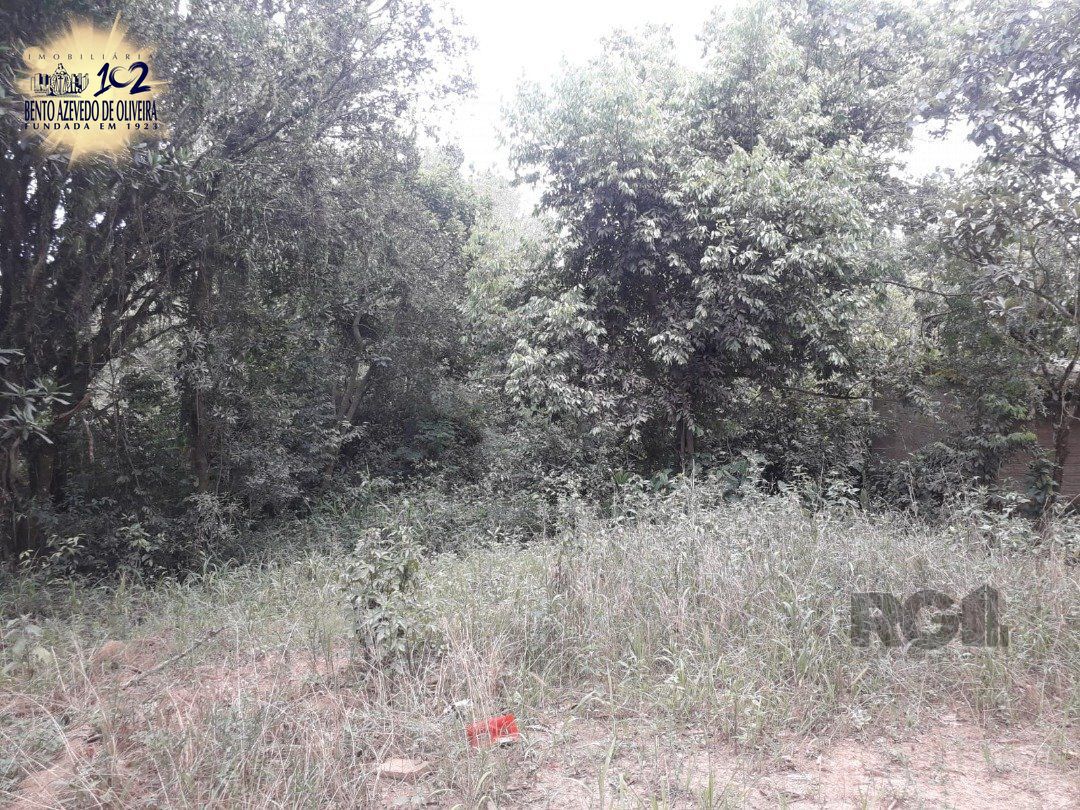 Terreno, 4431 m² - Foto 4