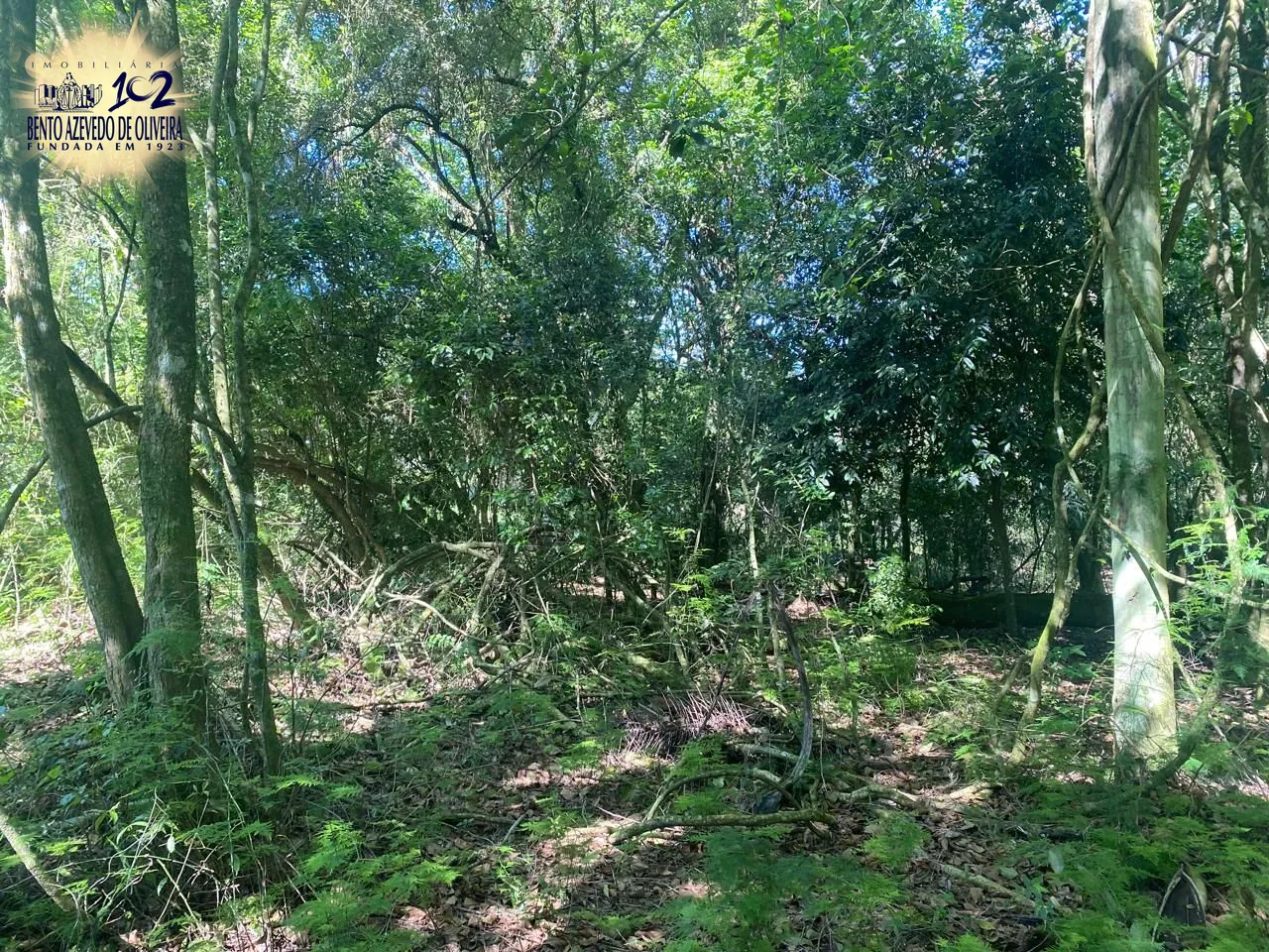 Terreno, 9750 m² - Foto 17