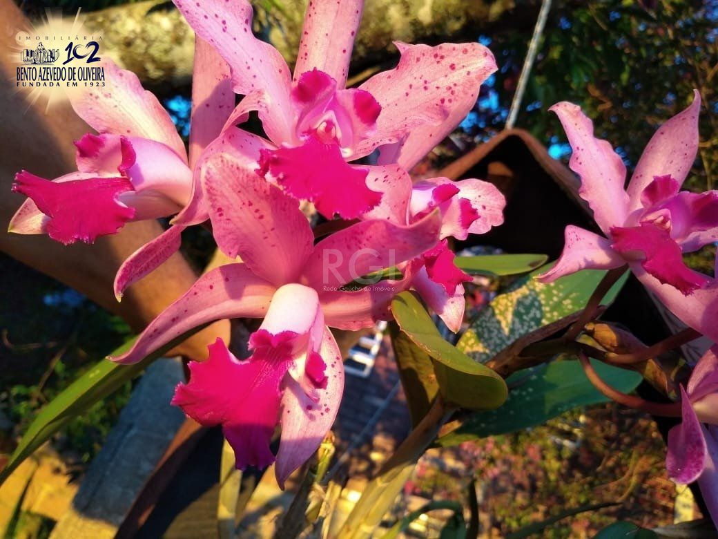 Chácara, 4 quartos, 8 hectares - Foto 16