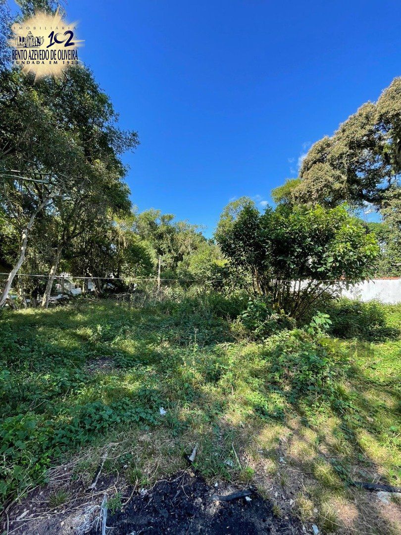 Terreno, 600 m² - Foto 6