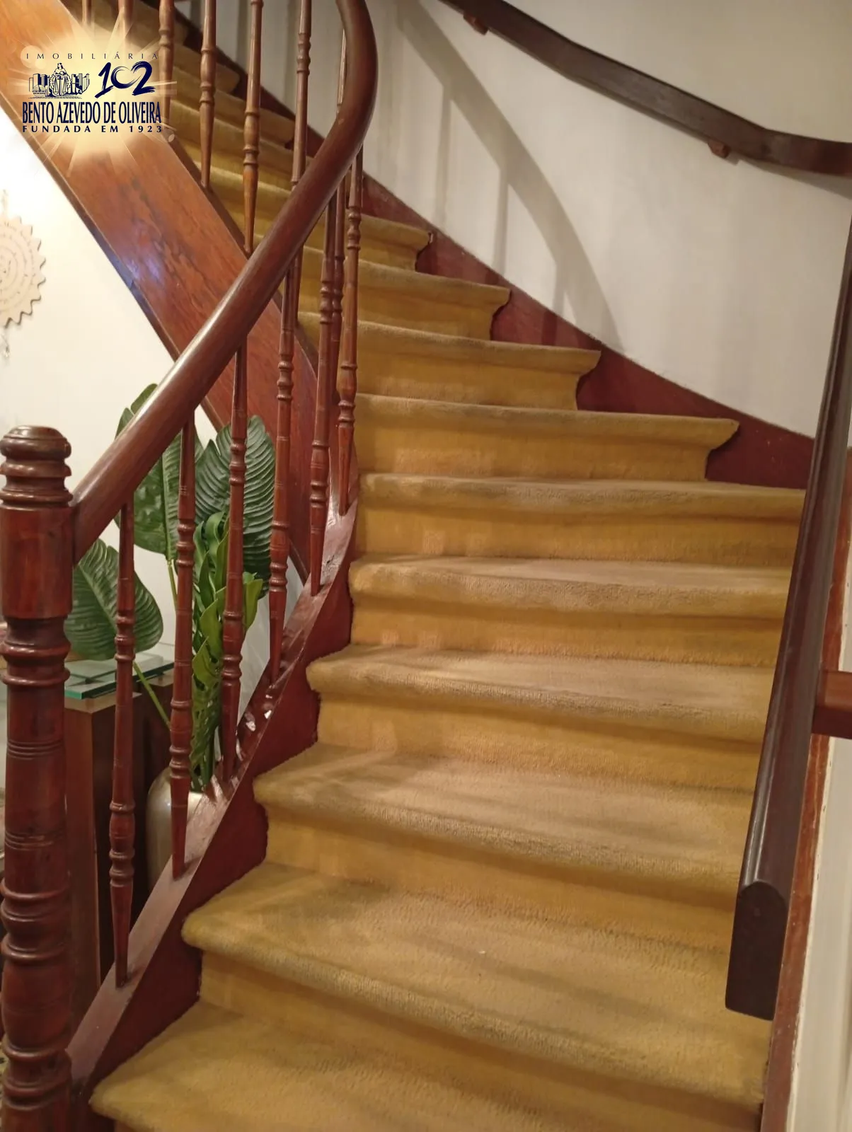 Casa, 5 quartos, 170 m² - Foto 14