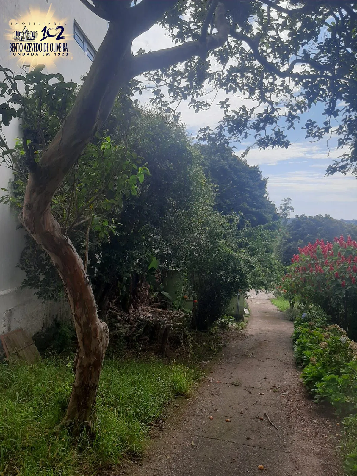 Terreno, 6801 m² - Foto 18